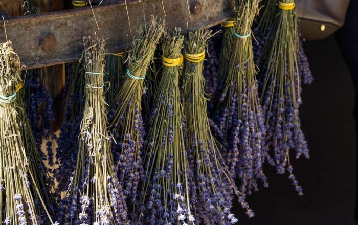 Bunches of lavender hanging upside down from a wooden beam