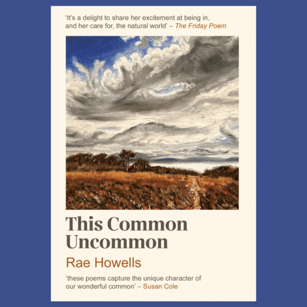 This Common Uncommon - poetry book