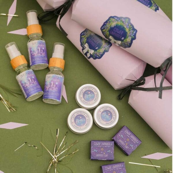 DIY Lavender Christmas Crackers - pack of 6 - Image 2